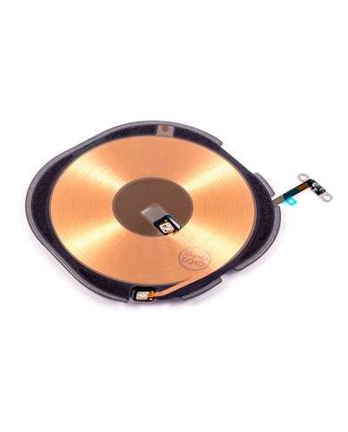 SPIPXR-0006 SPIPXR-0006