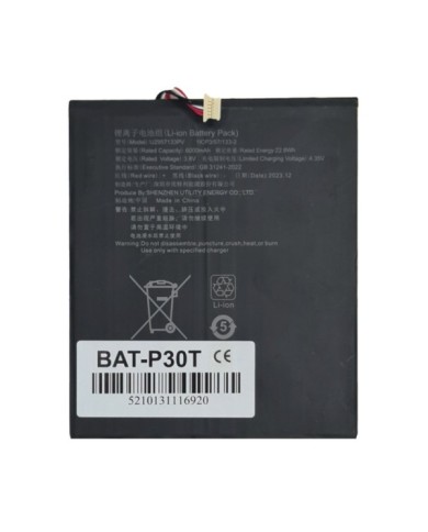 BAT-P30T BAT-P30T