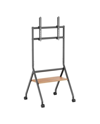 TTF13E-46FW TTF13E-46FW