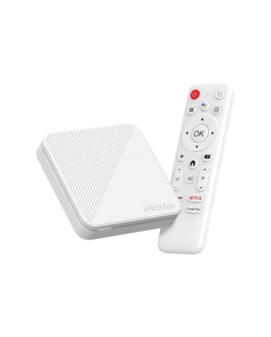 H96MAX-H313 H96MAX-H313