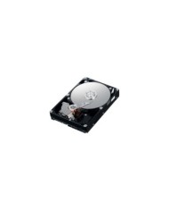 ST33000650SS ST33000650SS