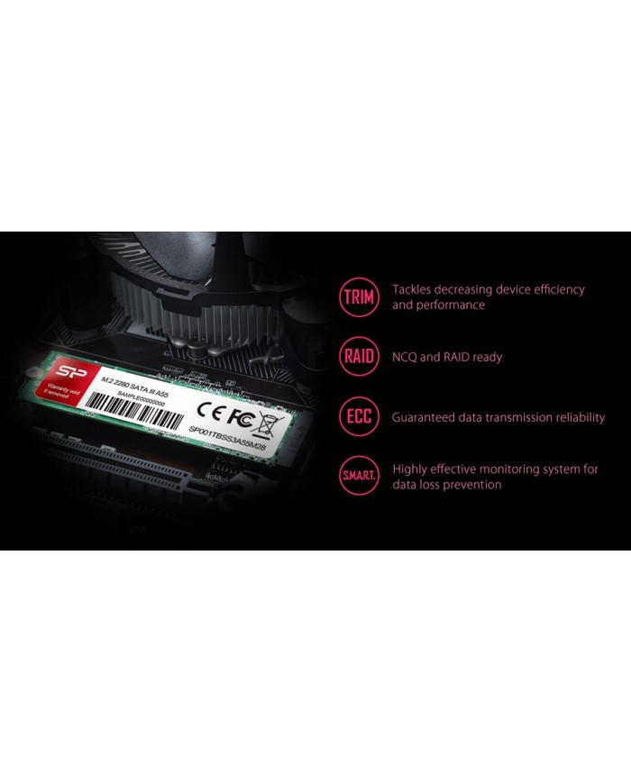 SP256GBSS3A55M28-2
