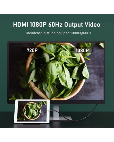 5210131039205-2 5210131039205-2