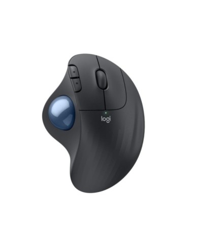 176-81-LOMM575S 176-81-LOMM575S