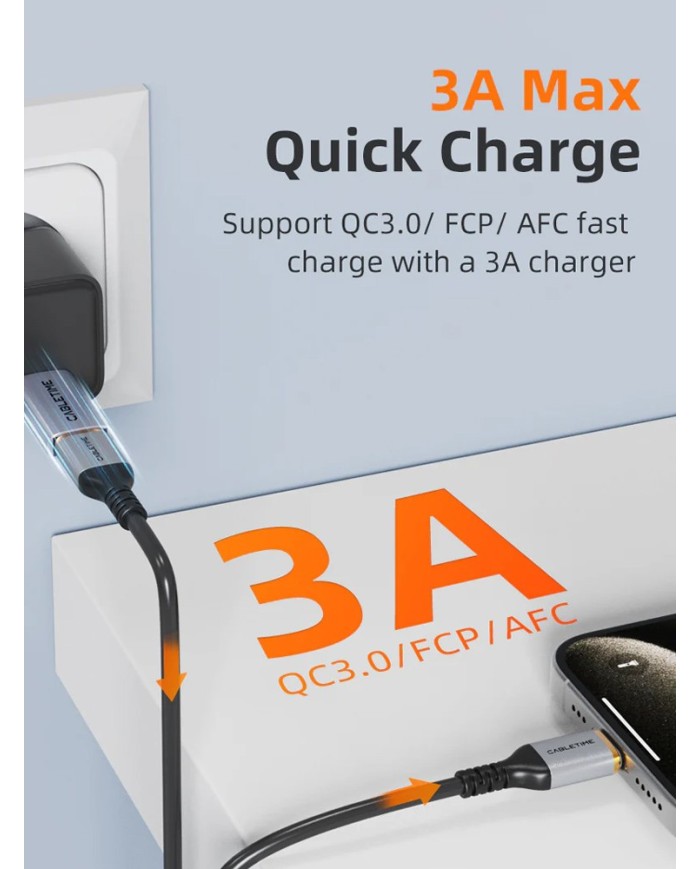 CT-AMCF10-AG-3 CT-AMCF10-AG-3