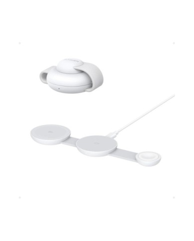 281-61-ANMGFCPW 281-61-ANMGFCPW