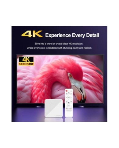 H96MAX-H313-2 H96MAX-H313-2