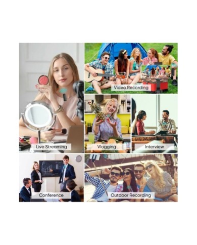 APL-MIC007-4 APL-MIC007-4