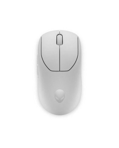 244-81-DESAWPROLLM 244-81-DESAWPROLLM