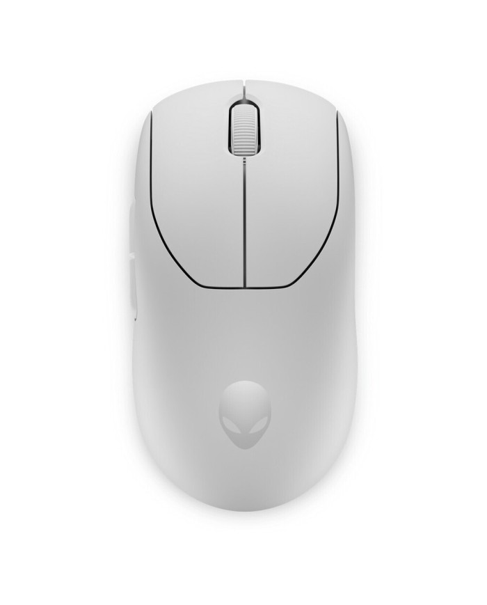 244-81-DESAWPROLLM 244-81-DESAWPROLLM