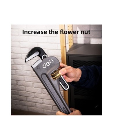 DL105024-2 DL105024-2