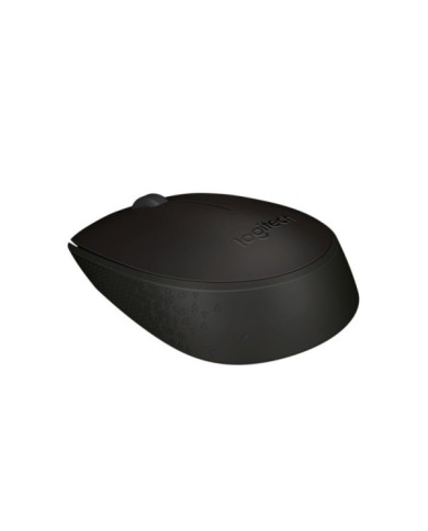 176-81-LOMB170_2 176-81-LOMB170_2