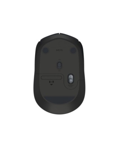 176-81-LOMB170_4 176-81-LOMB170_4