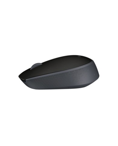 176-81-LOMM170_3 176-81-LOMM170_3