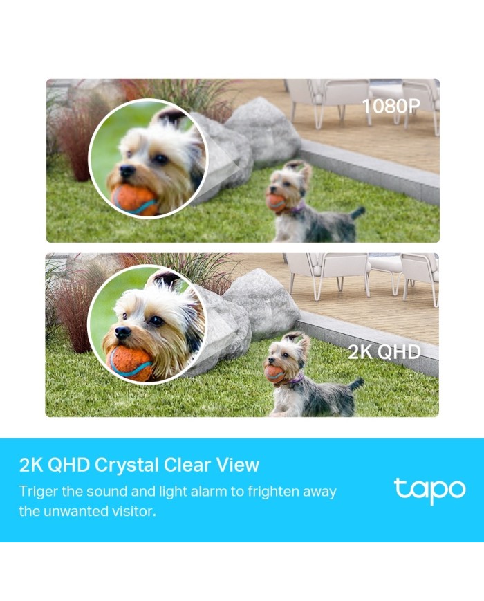 256-50-TLTC420_2 256-50-TLTC420_2