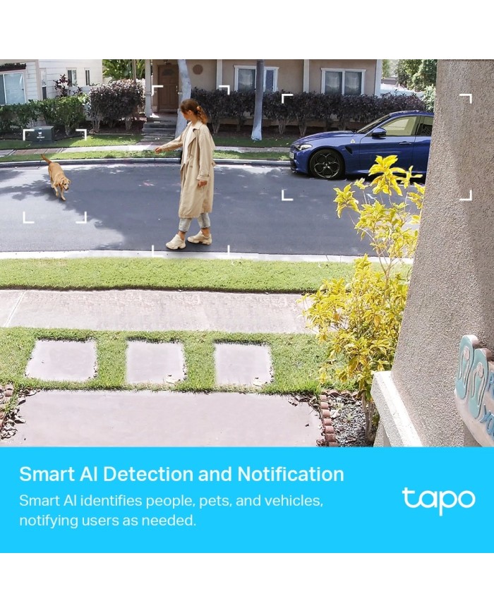 256-50-TLTC420_3 256-50-TLTC420_3