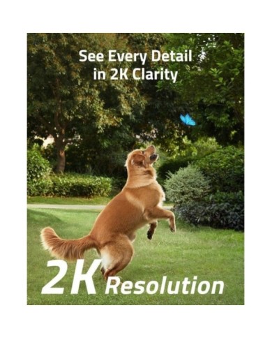 281-50-ANECSS2K_1 281-50-ANECSS2K_1