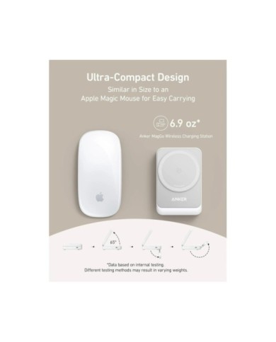 281-61-ANMGC15W_2 281-61-ANMGC15W_2