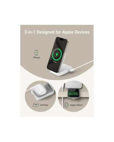 281-61-ANMGC15W_4 281-61-ANMGC15W_4