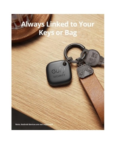 281-61-ANSTL2P_2 281-61-ANSTL2P_2