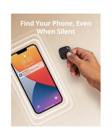 281-61-ANSTL2P_3 281-61-ANSTL2P_3