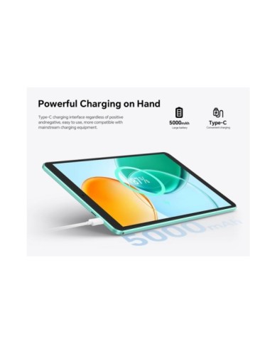 P852025-BL-12 P852025-BL-12