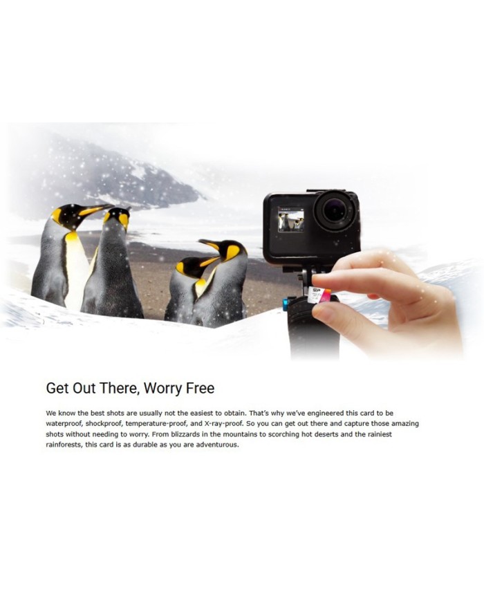 SP032GBSTHBV1V20SP-5