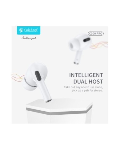 C300-PRO-5 C300-PRO-5