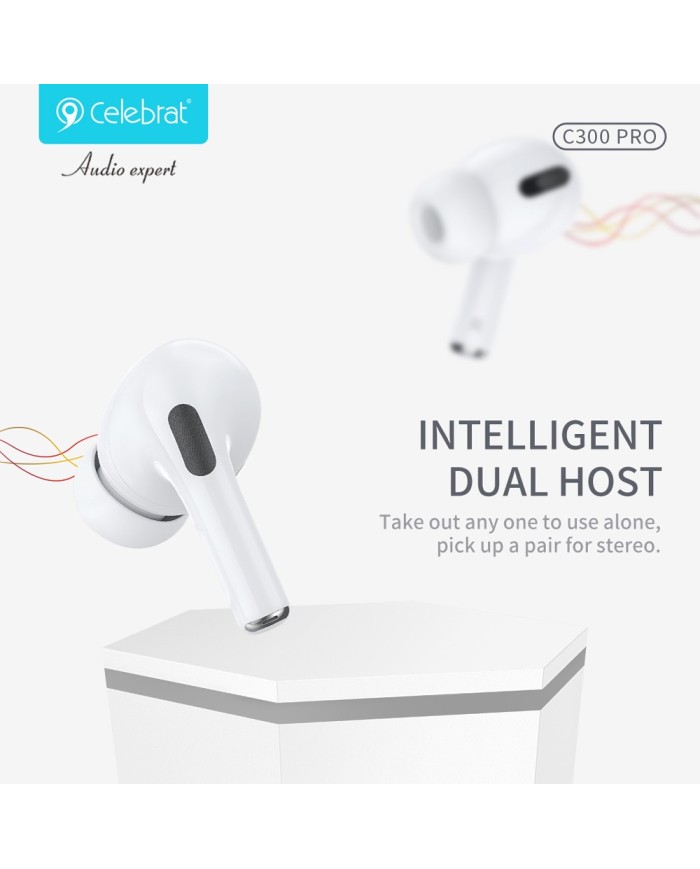 C300-PRO-5 C300-PRO-5