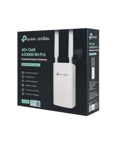 ER703WP-4G-OUTDOOR-5