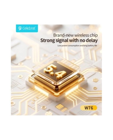 W76-4