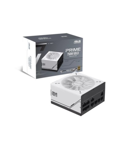 207-81-ASPSP750G