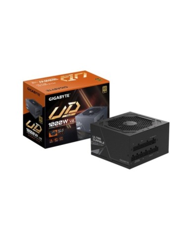 223-81-GBPS1000GU5