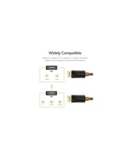 CT-AV585-01G-B3-4