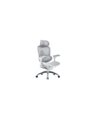 white1_FIXED