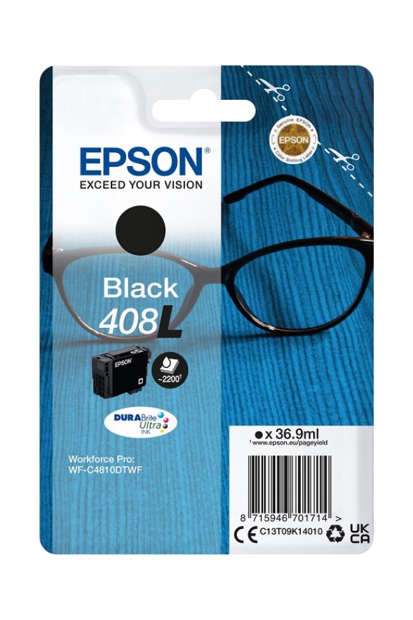Epson Cartridge Black L C13T09K14010