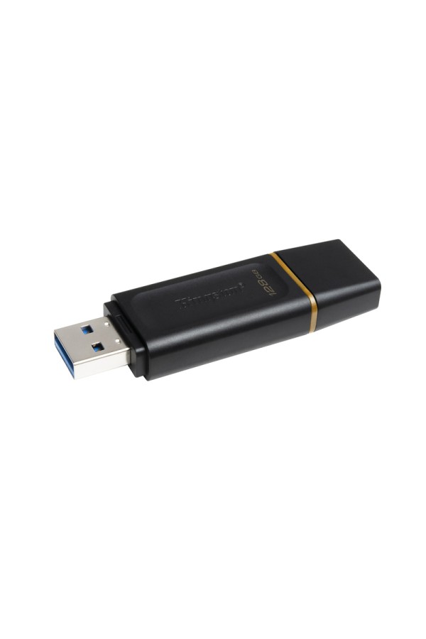 KINGSTON USB Stick Data Traveler DTX/128GB, USB 3.2, Black