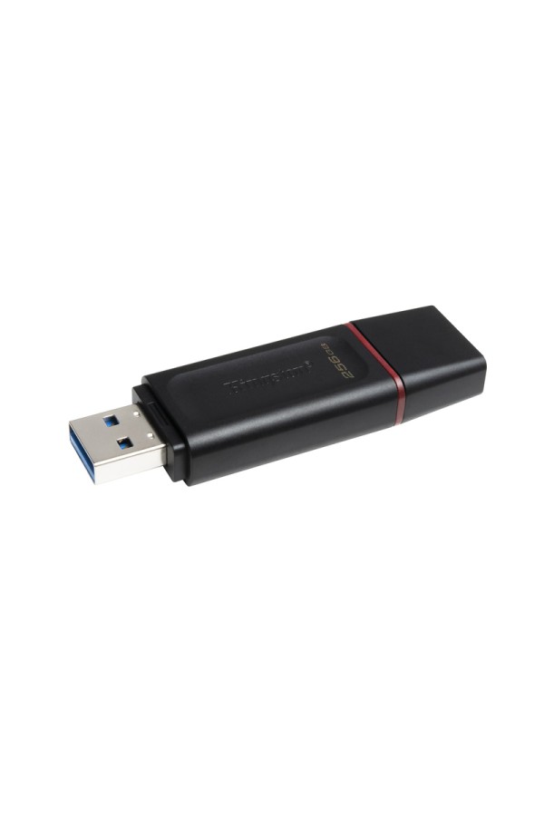 KINGSTON USB Stick Data Traveler DTX/256GB, USB 3.2, Black