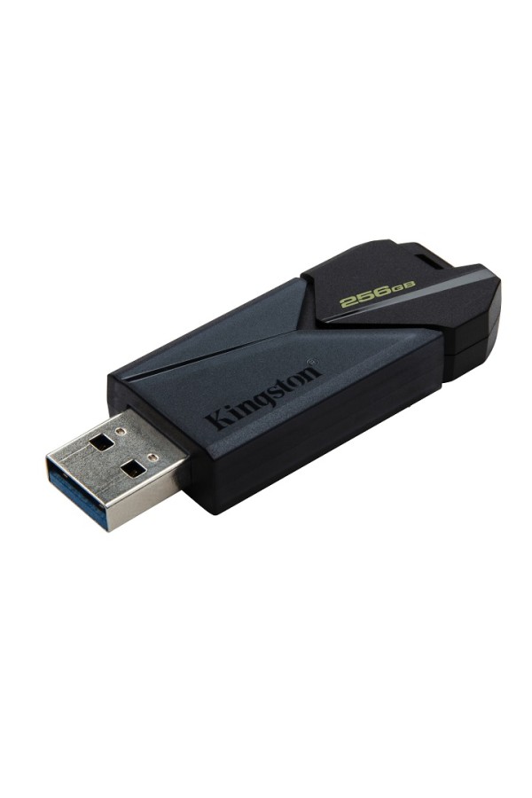 KINGSTON USB Stick DataTraveler Exodia Onyx  DTXON/256GB, USB 3.2, Black