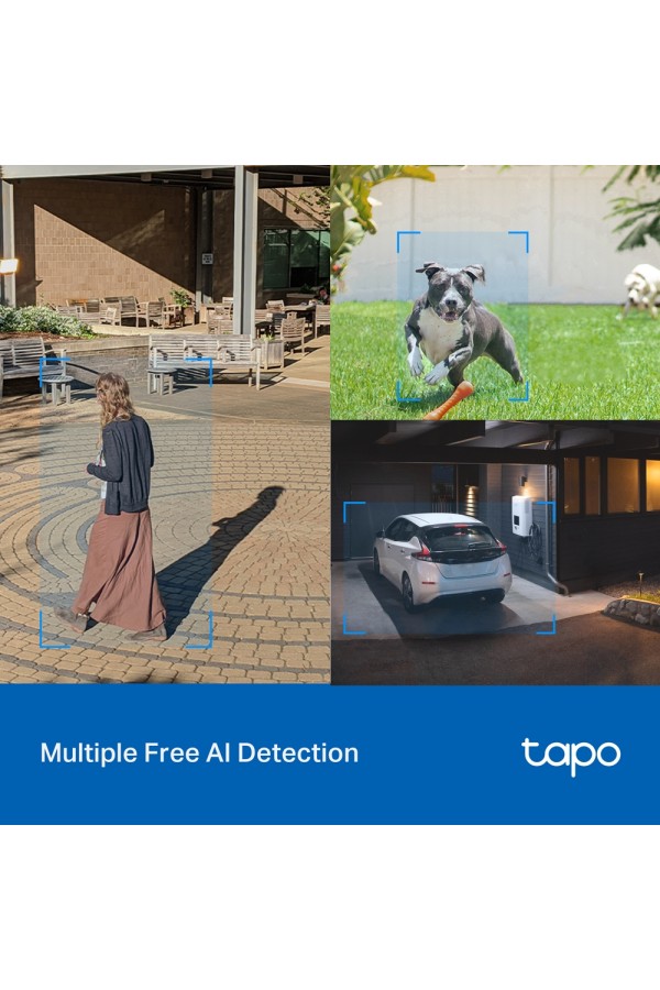 TP-LINK Tapo C520WS Wi-Fi Camera Outdoor Pan/Tilt