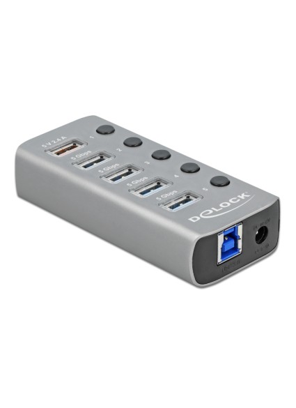 DELOCK USB hub 63262 με διακόπτες, 5x θυρών, 5Gbps, 2.4A, γκρι