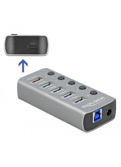 DELOCK USB hub 63263 με διακόπτες, 6x θυρών, 5Gbps, 12V/2.25A PD, γκρι