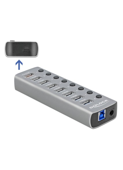 DELOCK USB hub 63264 με διακόπτες, 9x θυρών, 5Gbps, 12V/2.25A PD, γκρι