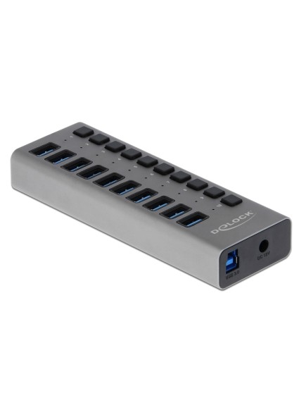 DELOCK USB hub 63670 με διακόπτες, 10x θυρών, 5Gbps, γκρι