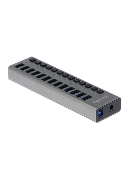 DELOCK USB hub 63738 με διακόπτες, 13x θυρών, 5Gbps, γκρι