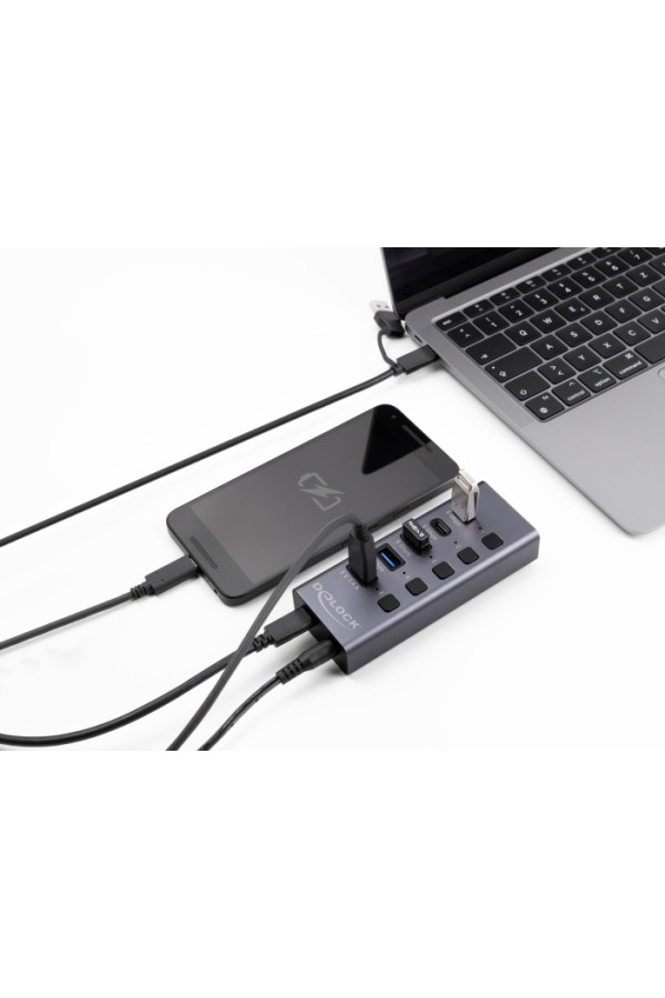 DELOCK USB hub 64248 με διακόπτες, 5x θυρών, 5Gbps, USB/USB-C σύνδεση, γκρι