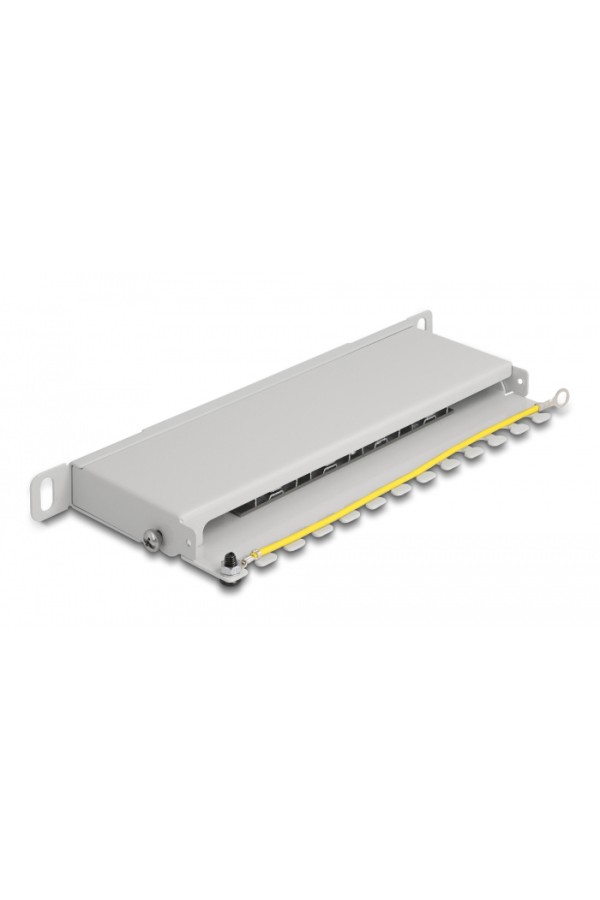 DELOCK patch panel 66871 για καμπίνα δικτύου 10