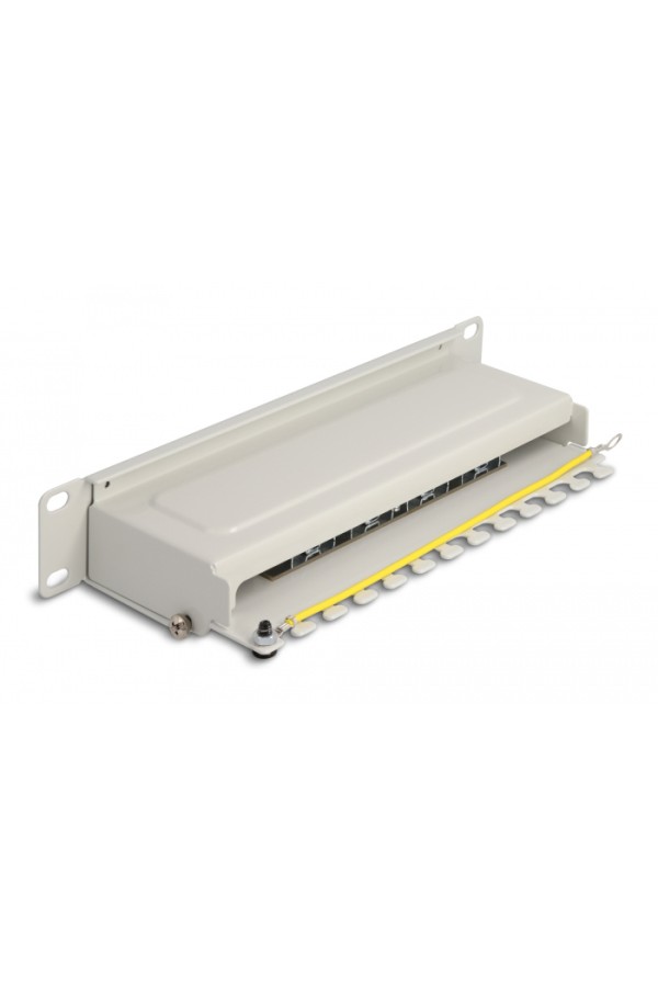 DELOCK patch panel 66873 για καμπίνα δικτύου 10