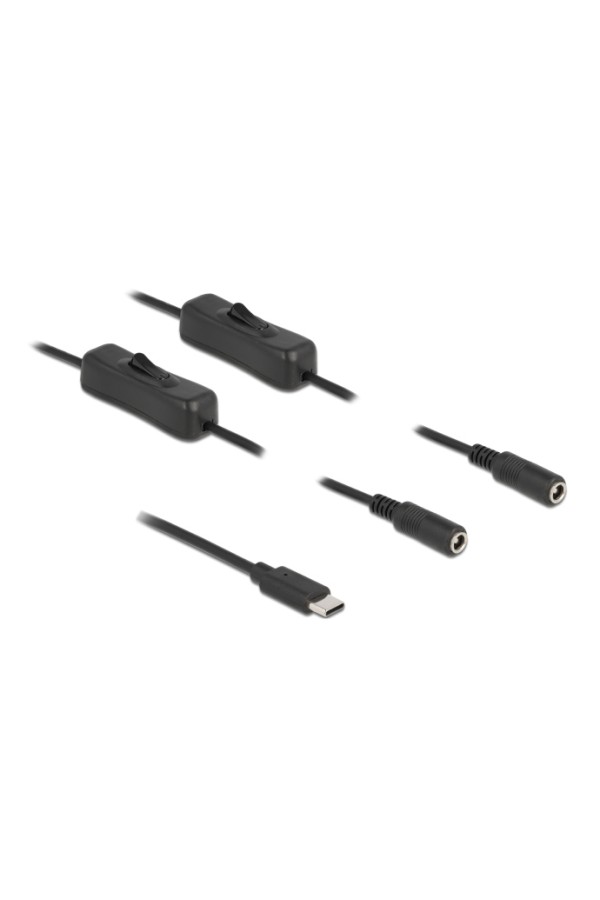 DELOCK καλώδιο USB Type-C σε 2x DC 5.5 x 2.1mm 86800, 1m, μαύρο