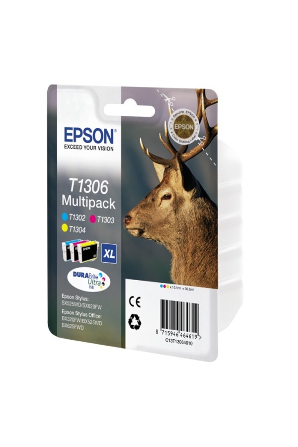 Epson Μελάνι Inkjet T1306 XL Multipack  (C13T13064012) (EPST130640)